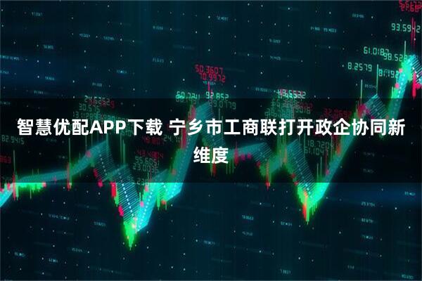 智慧优配APP下载 宁乡市工商联打开政企协同新维度