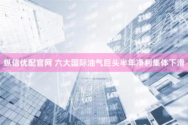 纵信优配官网 六大国际油气巨头半年净利集体下滑