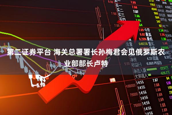 第二证券平台 海关总署署长孙梅君会见俄罗斯农业部部长卢特