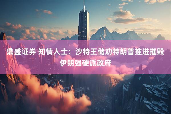 鼎盛证券 知情人士：沙特王储劝特朗普推进摧毁伊朗强硬派政府